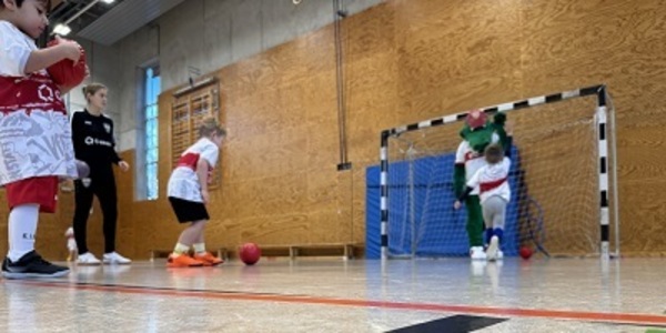 VfB Mini-Training (4-5 Jahre)   