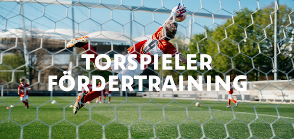 Cover Torspieler Fördertraining (7-13 Jahren) NeckarPark