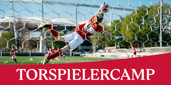 Cover Torspieler Fördertraining (7-13 Jahren) NeckarPark 
