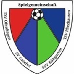 Logo SGM Pliezhausen