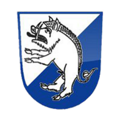 Logo FC Erzingen 
