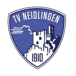 Logo TV Neidlingen
