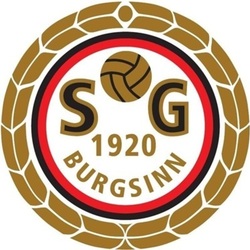 Logo SG Burgsinn