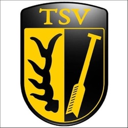 Logo TSV Oberriexingen